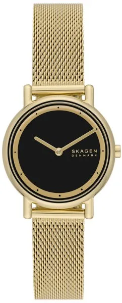 Skagen Signatur Lille SKW3111